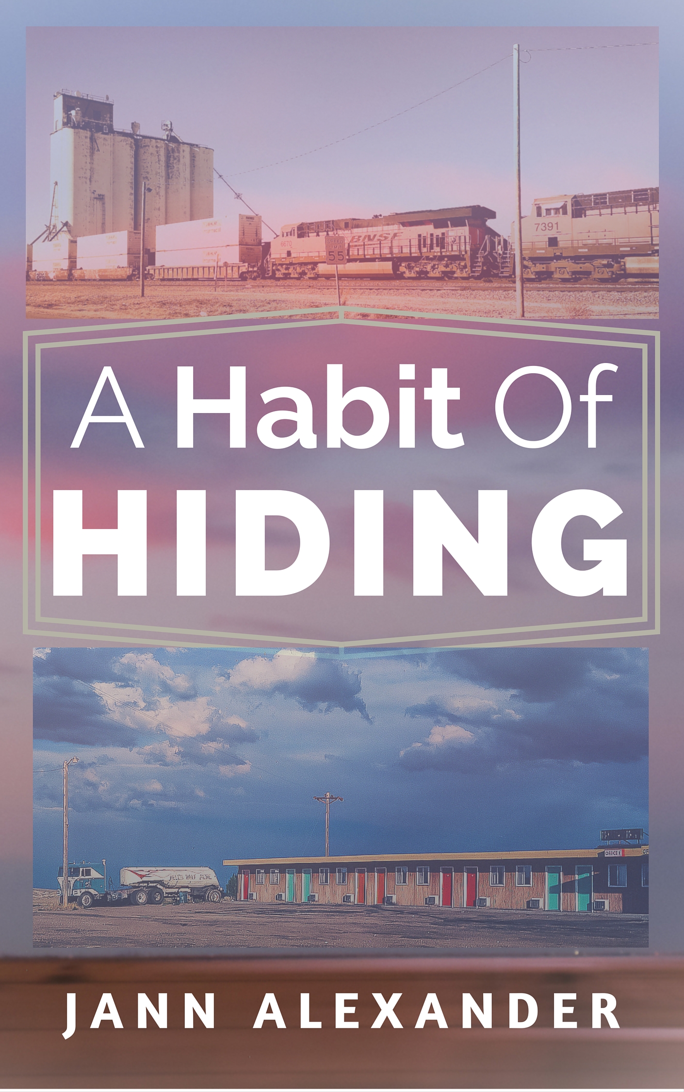A Habit of Hiding Book Cover